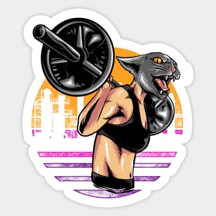 cat gym Sticker